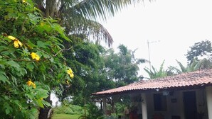 Una casa con techo de tejas, rodeada de exuberante vegetación y una palmera.