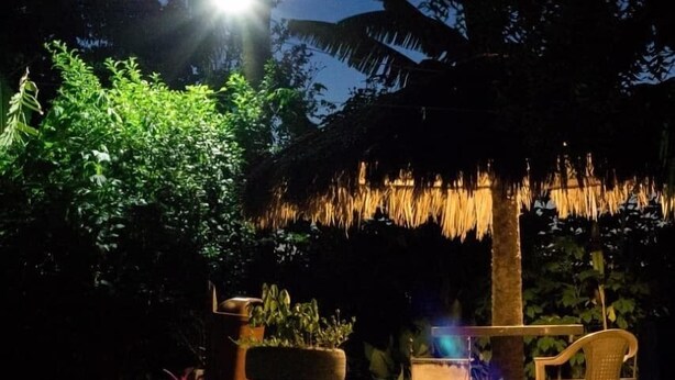 Un área de estar al aire libre con techo de paja, rodeada de abundante follaje y palmeras.