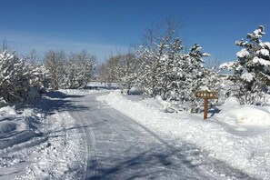 Deportes de invierno y ski