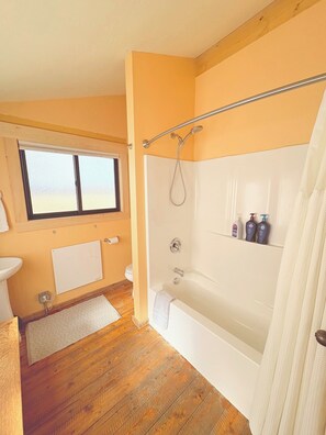 Combined shower/tub, hair dryer, towels, soap