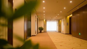 A hotel corridor with a carpeted floor, doors on both sides, and a potted plant in the center. - GreenTree Eastern Handan Daming County Bus Station (Handan)