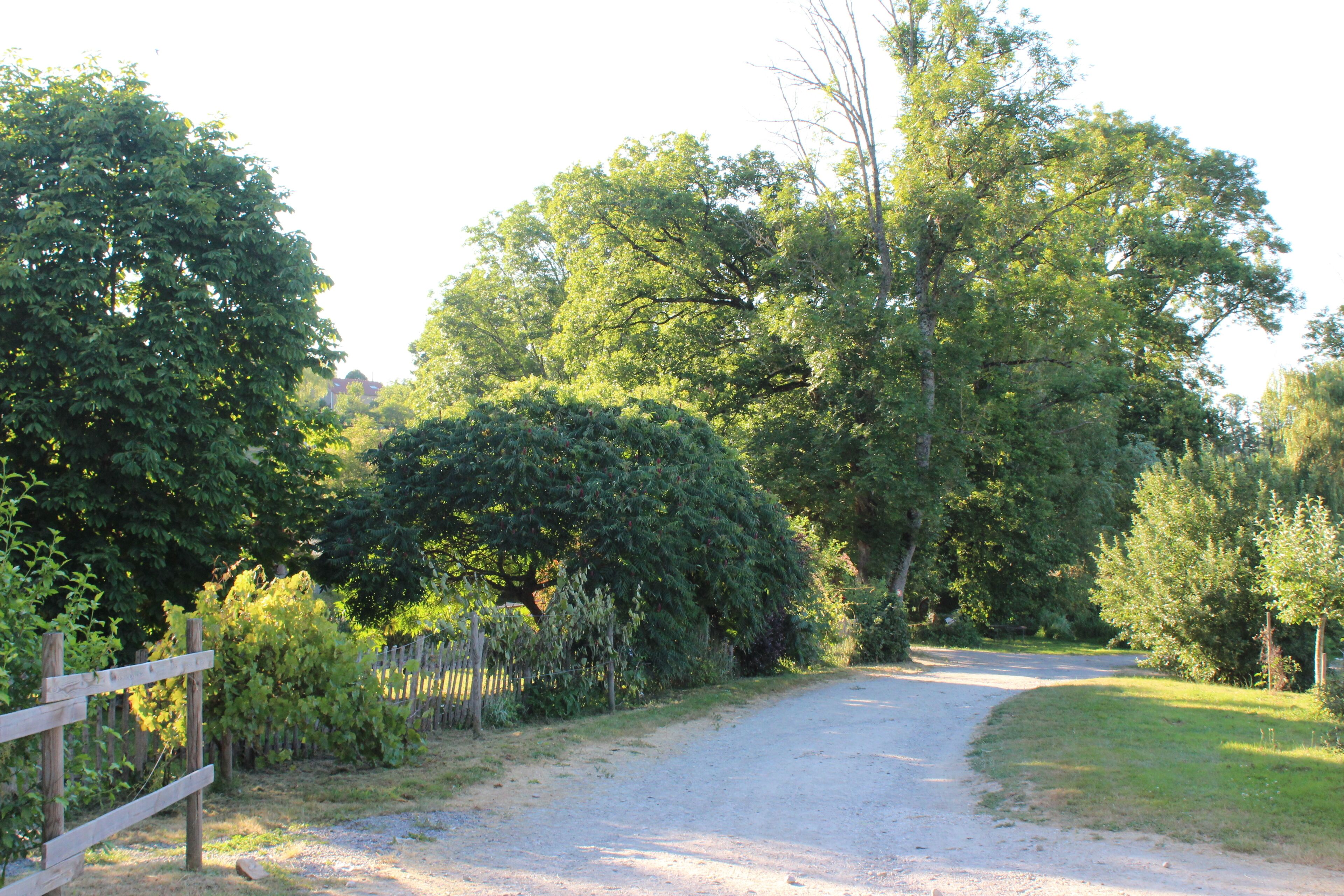 Un chemin de gravier traverse une zone boisée, et une clôture en bois longe le sentier d’un côté.