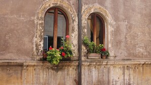 Dues finestres arquejades amb marcs i persianes de fusta, cadascuna amb una petita jardiniera plena de flors vermelles.