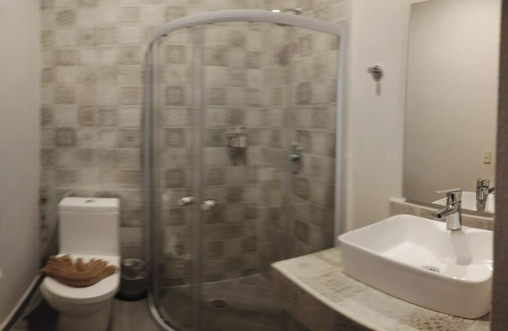 A bathroom with a shower enclosure, a toilet, and a sink with a mirror.