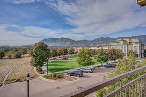 Property grounds - Urban Practicality! 3 Beds, Patios & Dog Friendly (Colorado Springs)