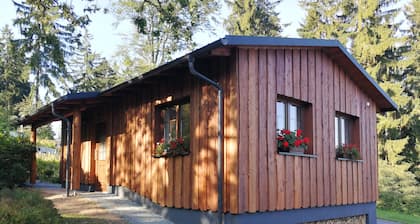 Modernes und rustikales Ferienhaus direkt am Wald