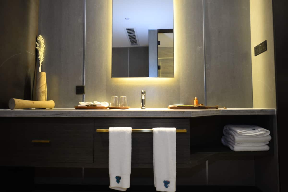 Business İki Ayrı Yataklı Oda | Banyo | Ayrı küvet ve duş, saç kurutma makinesi, bide, havlu