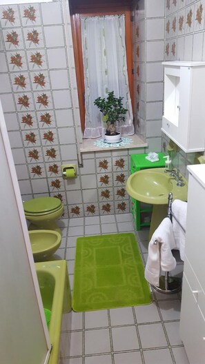 Combined shower/bathtub, hair dryer, slippers, bidet