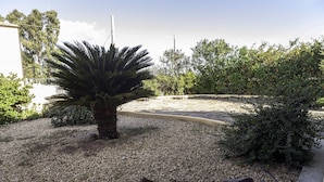 A landscaped garden with a palm tree, gravel path, and various shrubs. - Aria Di Vacanza - Mirtillo COD 9 (Olbia)