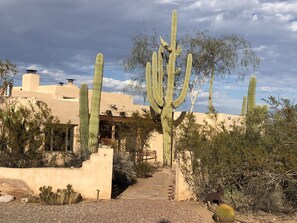 Terrain de l’hébergement 