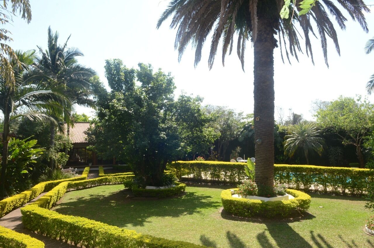 Vườn