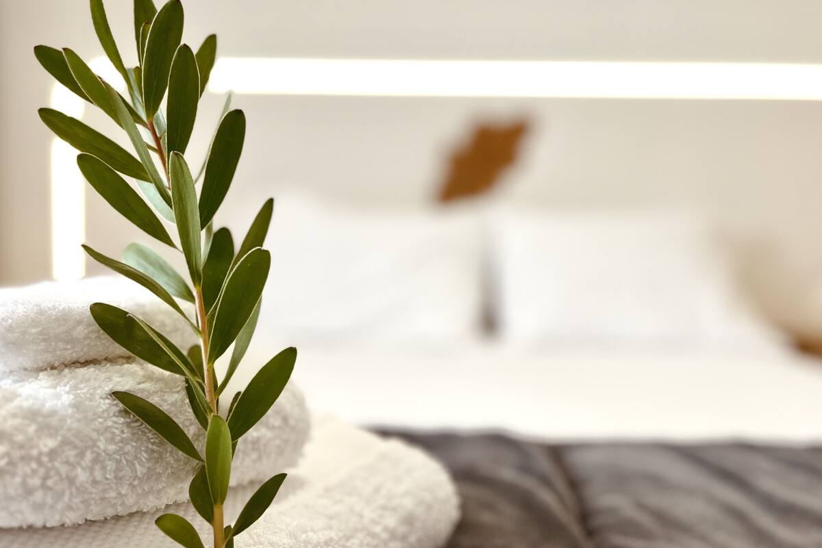 A neatly arranged set of towels and a green plant on a bed with a white headboard.