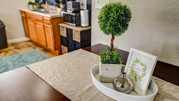 A kitchen counter with a small potted plant, a decorative bowl, and a framed picture.