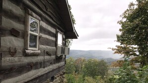 A rustic log cabin with a window and an air conditioning unit, surrounded by lush greenery and a mountainous backdrop.