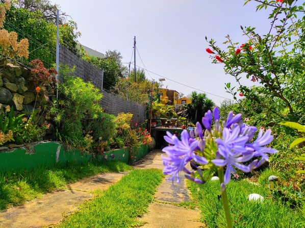 A garden pathway with lush greenery and flowering plants.