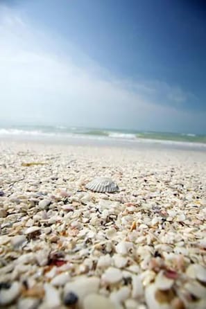 Pantai