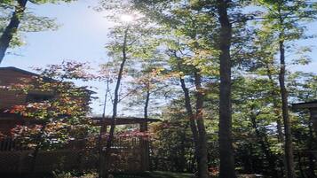 Àrea exterior de l'allotjament