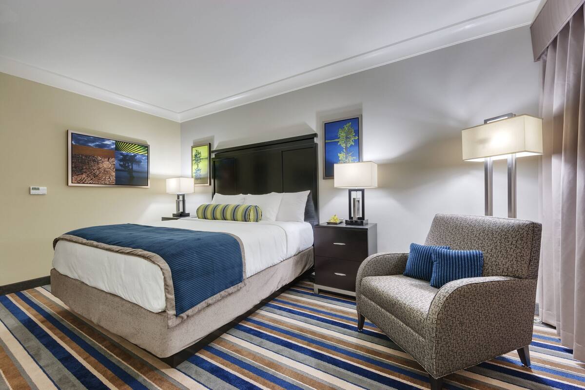 Single Room | Desk, laptop workspace, free WiFi, bed sheets