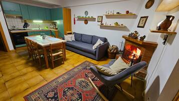 Smart TV, fireplace, books
