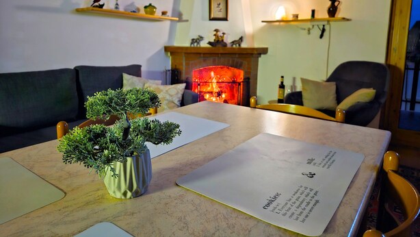 En hyggelig stue med pejs, sofa, sofabord med en potteplante og reoler med dekorative genstande.