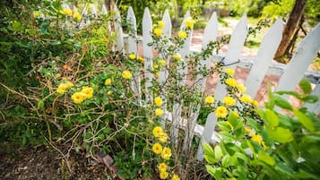 Área da propriedade