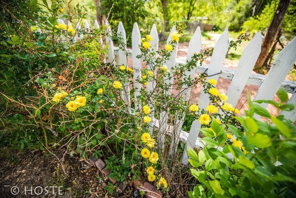 Property grounds - 2brclassic Downtown Housebright & Charming (Colorado Springs)