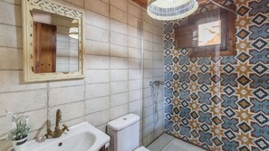 Shower, hair dryer