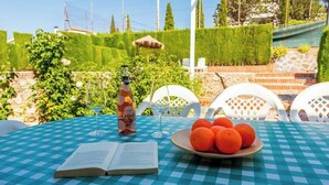 Uma mesa com toalha xadrez, uma garrafa de vinho Lole, um prato de laranjas e um livro aberto.