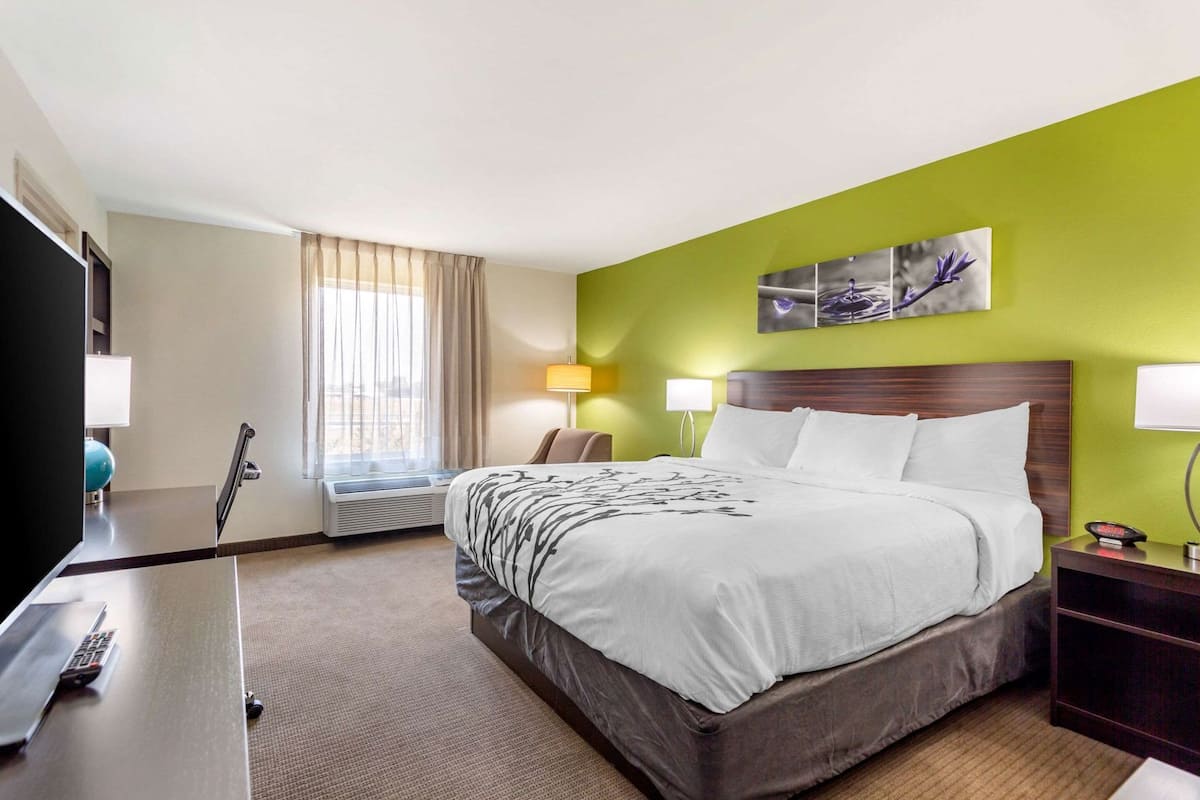 A hotel room with a bed, a desk, a chair, a TV, a window with curtains, and a wall-mounted artwork.