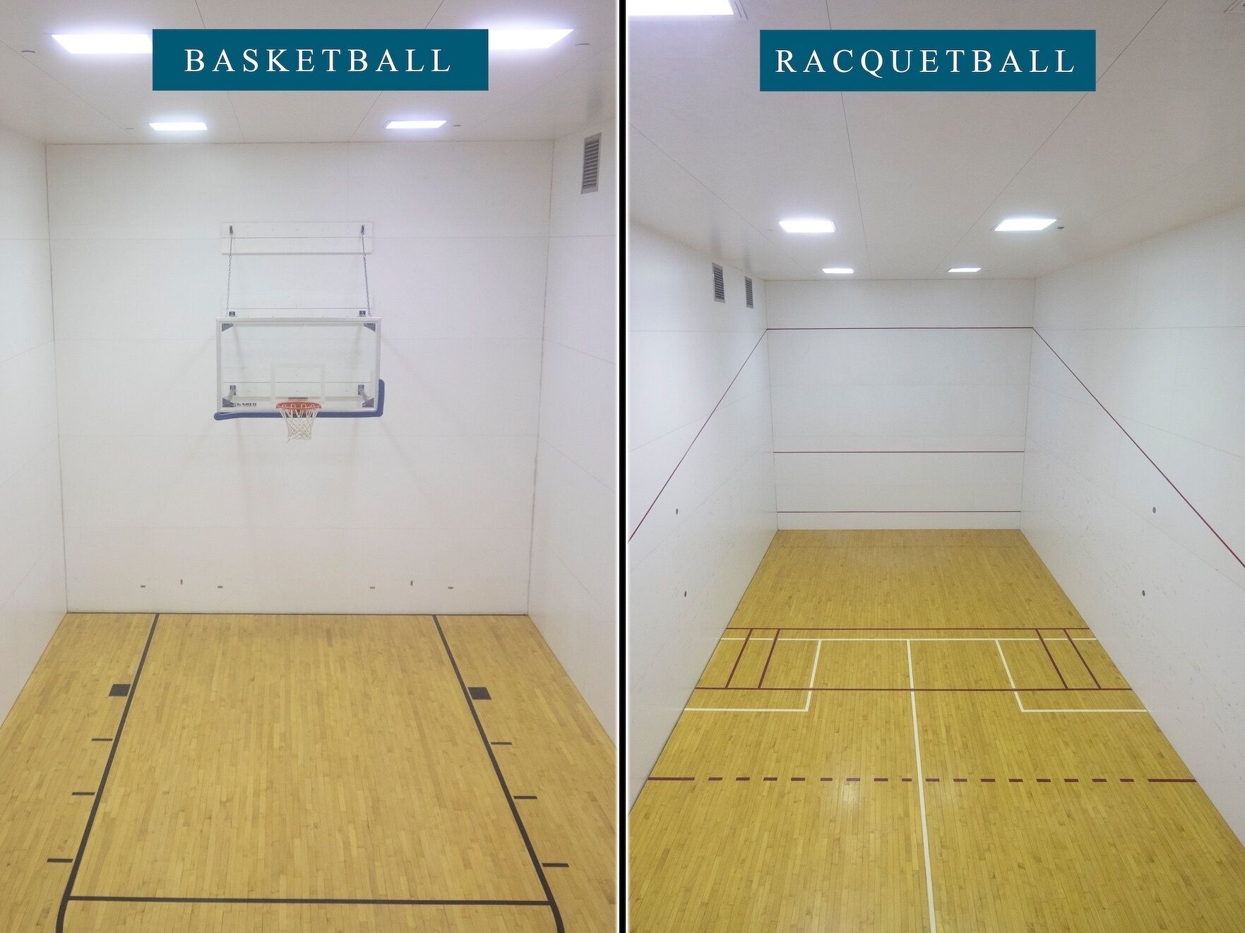 Deux terrains de sport intérieurs : un terrain de basket-ball avec un panier et un terrain de racquetball avec un filet.