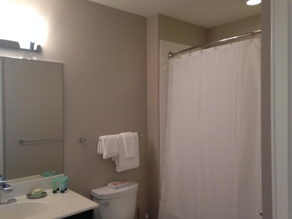 A bathroom with a toilet, sink, and mirror. There are towels hanging on the wall and a shower curtain. - National at Reston Town Center (Reston)
