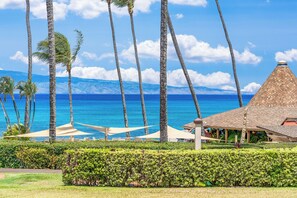 Property grounds - Garden View Second Floor Studio at Napili Shores – Steps to Napili Bay D229 (Lahaina)