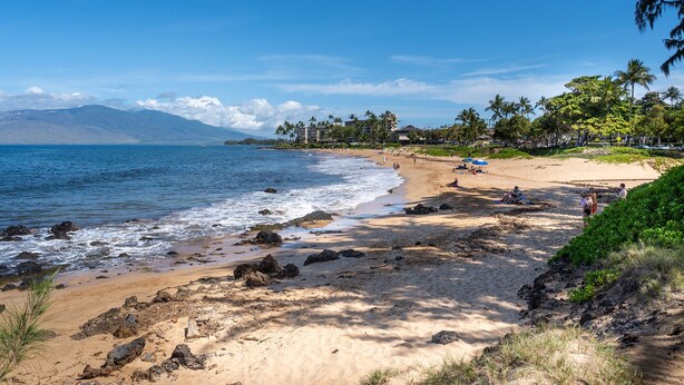 A beach with clear skies, rocky shoreline, and palm trees. - Kihei Akahi Resort, ocean view, steps from the beach (Kihei)