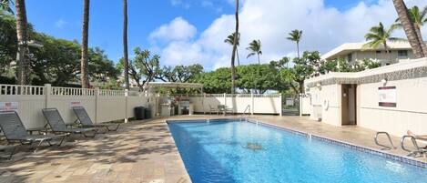 A swimming pool with lounge chairs and palm trees in the background.