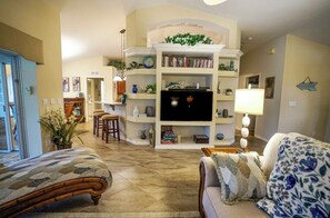 Smart TV, DVD player, books, video library