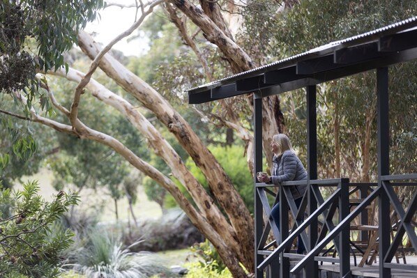 Habitación individual | Terraza o patio