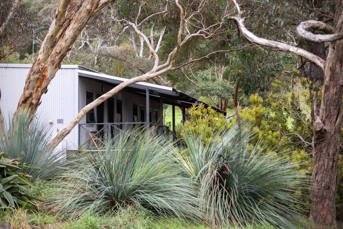 A modern building with a flat roof, surrounded by native vegetation and trees.
