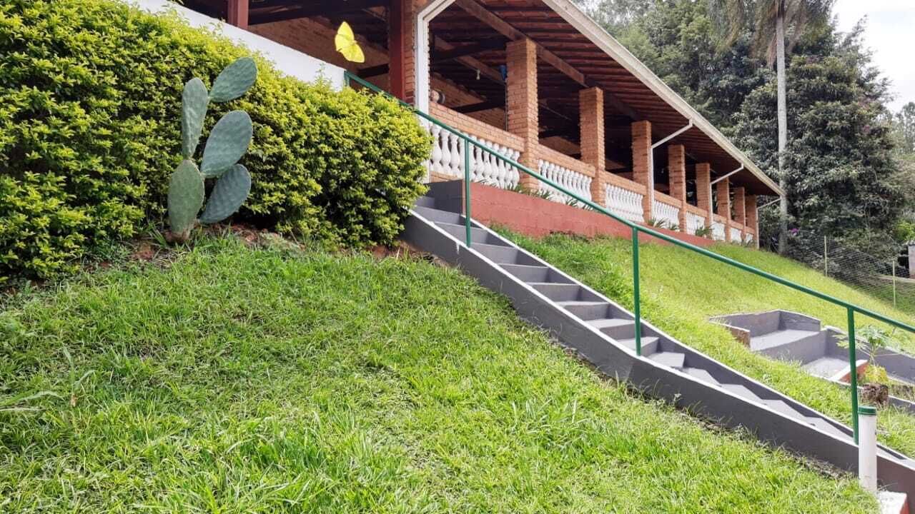 A staircase leading to a covered porch with a cactus and a hedge.