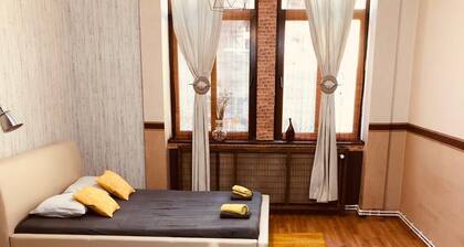 Cozy, spacious, clean and stylish apartment right here in the heart of the city.