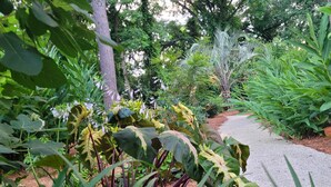 A garden pathway surrounded by lush greenery and various plants. - Serene Cottage with Lush Landscaped Grounds (Charleston)