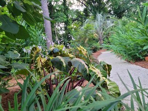 Property grounds - Stunning Charleston Garden & Private Koi Pond (Charleston)