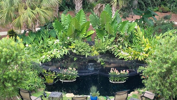 A garden with a pond, surrounded by various plants and chairs. - Serene Cottage with Lush Landscaped Grounds (Charleston)