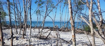 Longboat Key , Beach , Pool , Dock , Canal , Boat Access. Kayak rentals, Fishing
