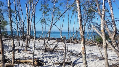 Longboat Key , Beach , Pool , Dock , Canal , Boat Access. Kayak rentals, Fishing