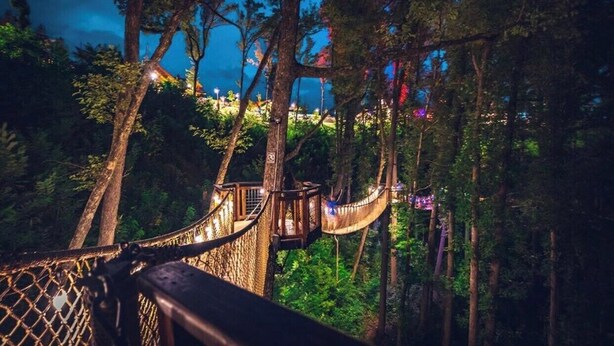 Un pont suspendu, situé dans une zone boisée, illuminé par des guirlandes lumineuses la nuit, avec une structure illuminée visible au loin.