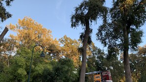 Ein Park mit Spielgeräten, Bäumen und einem Weg.