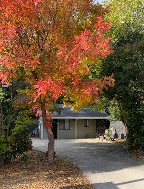 Àrea exterior de l'allotjament