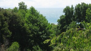 Un paisaje costero con vegetación densa y vista al mar.