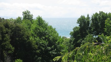 A coastal landscape with dense greenery and a view of the sea.