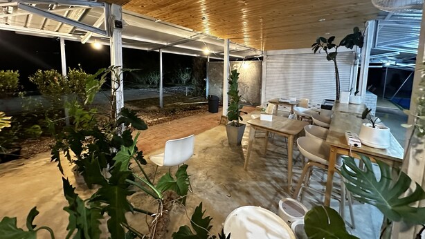 Un patio al aire libre con mesas y sillas de madera, rodeado de plantas en macetas.